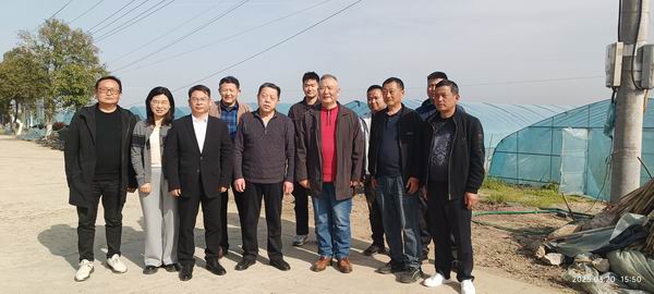 荆州市老促会与公安县老促会赴甘家厂乡陆兴村调研蔬菜大棚水肥一体化项目